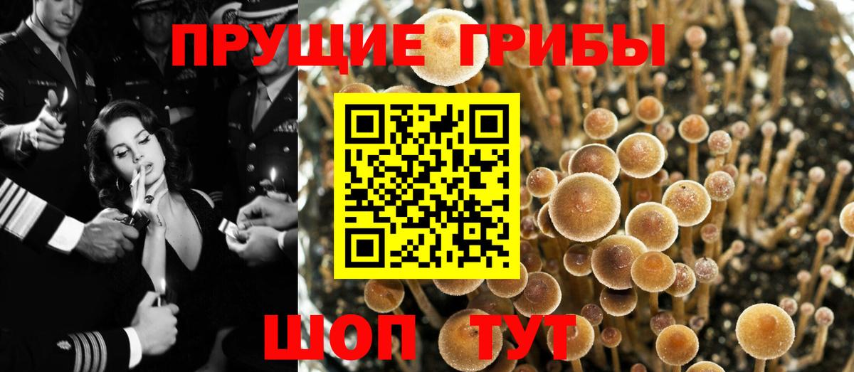 Псилоцибиновые грибы мухоморы Хасавюрт