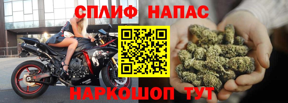Бошки Шишки план Хасавюрт